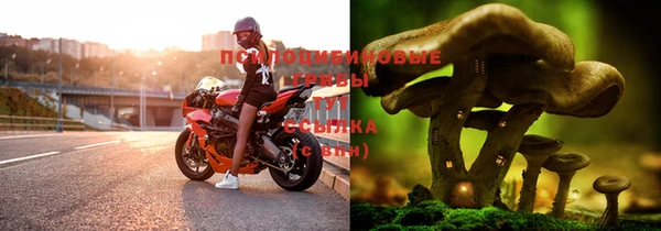 трава Бородино