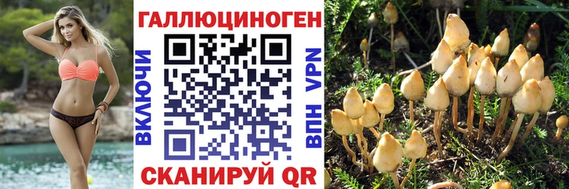 Галлюциногенные грибы мицелий Старица